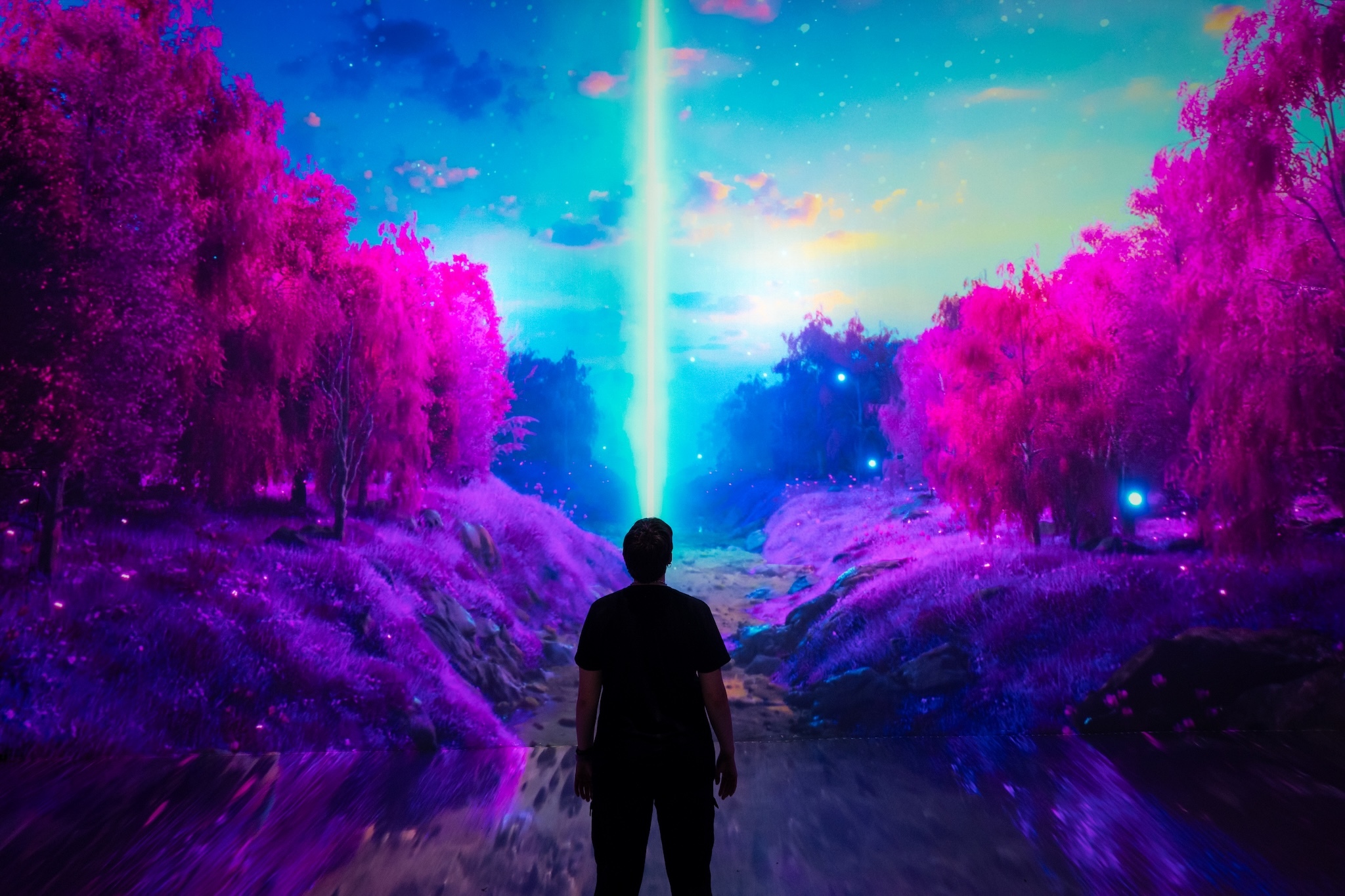 Experience a digital art dreamscape at ARTECHOUSE in NYC