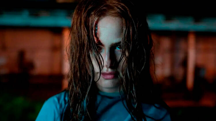 Los extraños. Capítulo 2