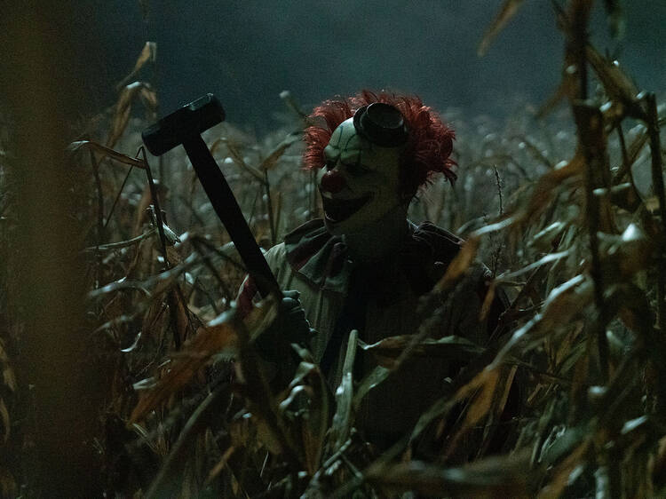 El Payaso del Maizal