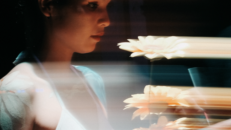 Senses 4: The Grooviest Sensory Experience