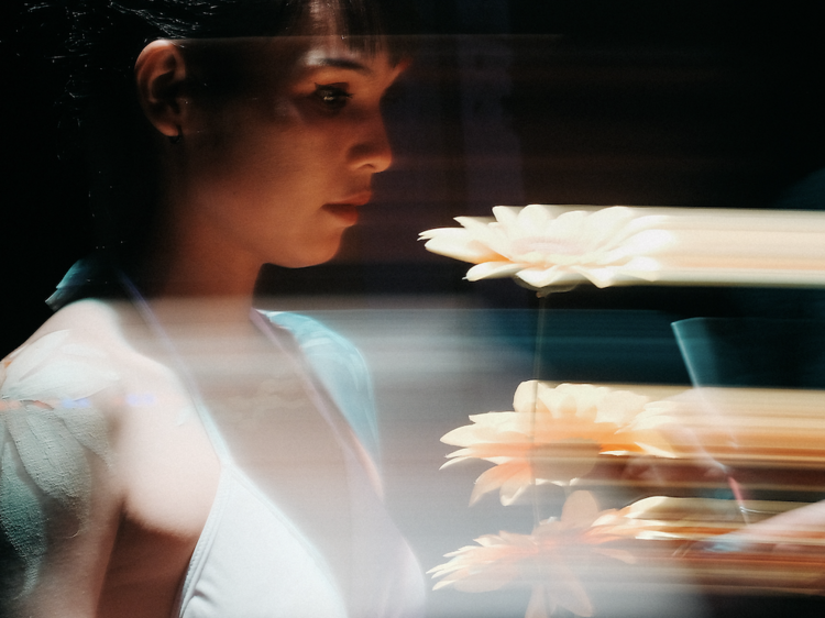 Senses 4: The Grooviest Sensory Experience
