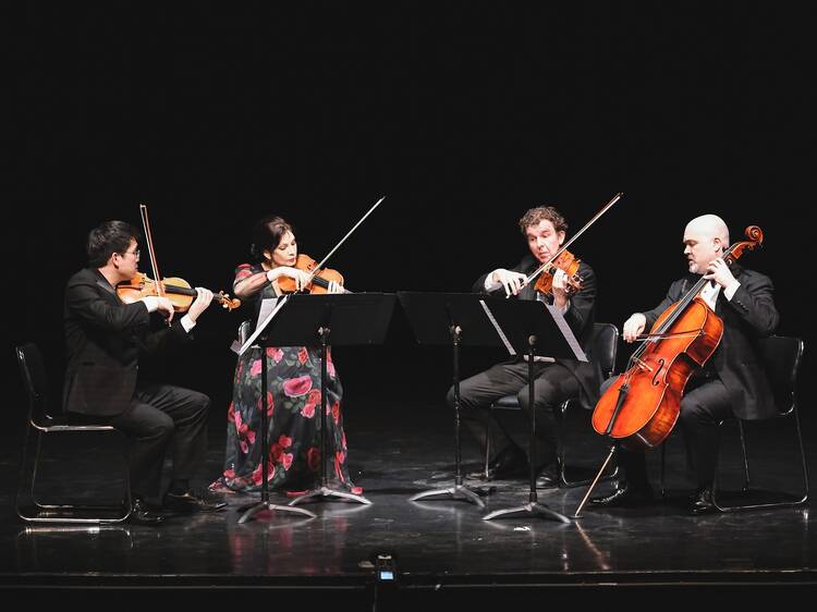 Light and Shade classical music evening