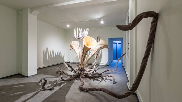 İstanbul Bienali’ndeyiz: Şafak Şule Kemancı söyleşisi