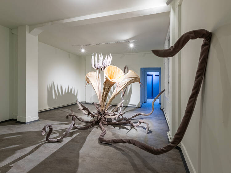İstanbul Bienali’ndeyiz: Şafak Şule Kemancı söyleşisi