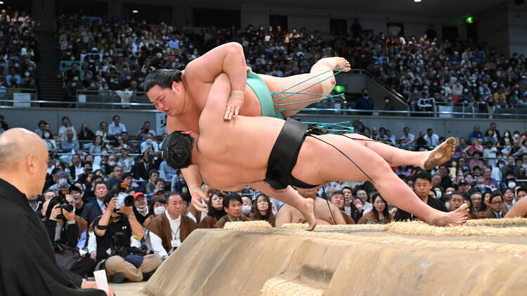 The sport The sport