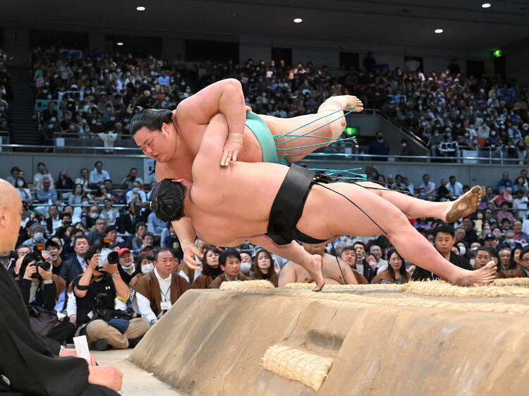 The sport The sport