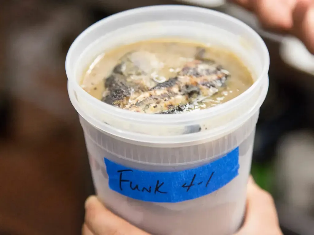 Funky Lam Kitchen