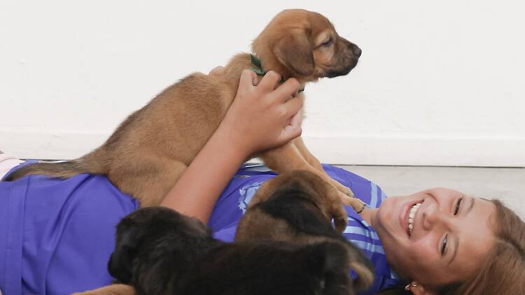 Yoga, Paws, and Happy Tails