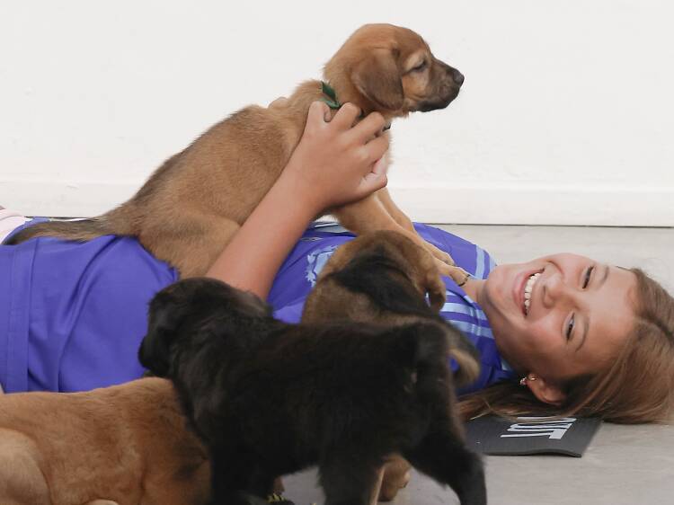 Yoga, Paws, and Happy Tails