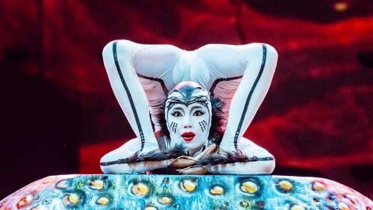 Cirque du Soleil