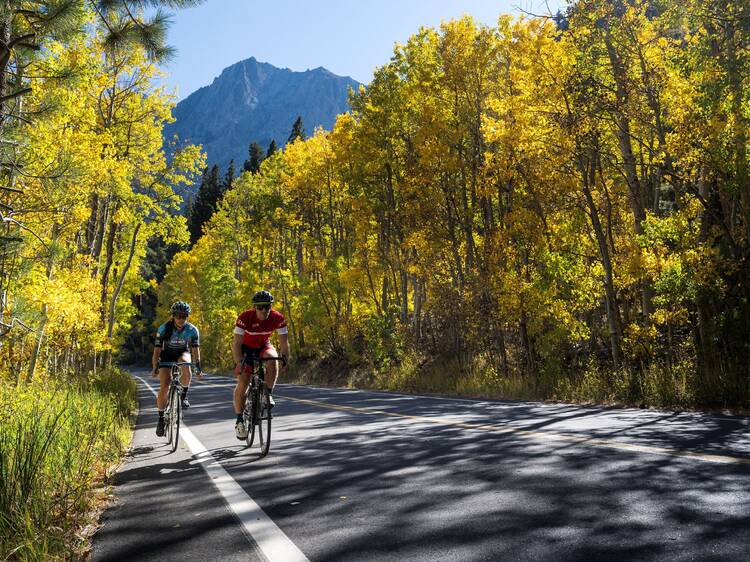 June Lake Loop | June Lake, CA
