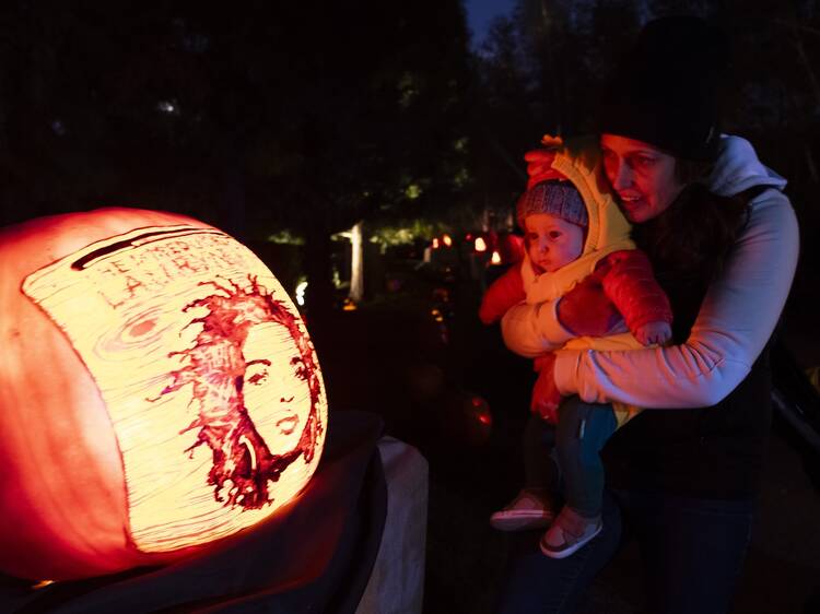 Over 1,000 artist-carved pumpkins will light up this Chicago garden next week