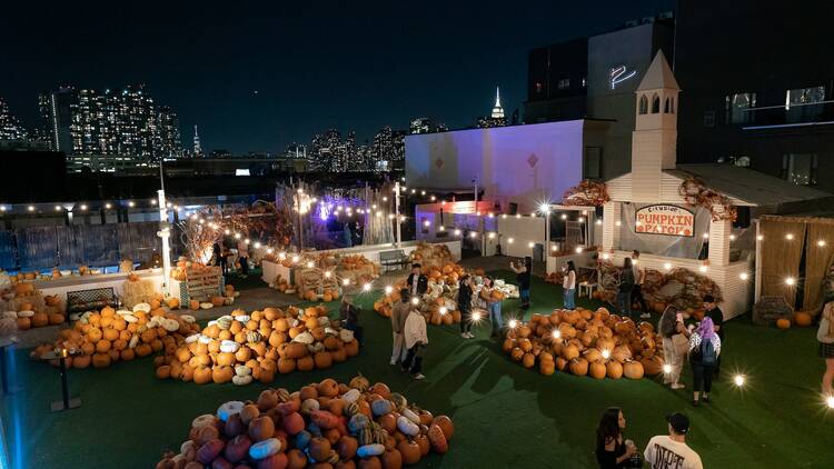 Cityside Pumpkin Patch