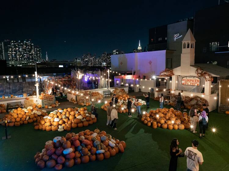Cityside Pumpkin Patch