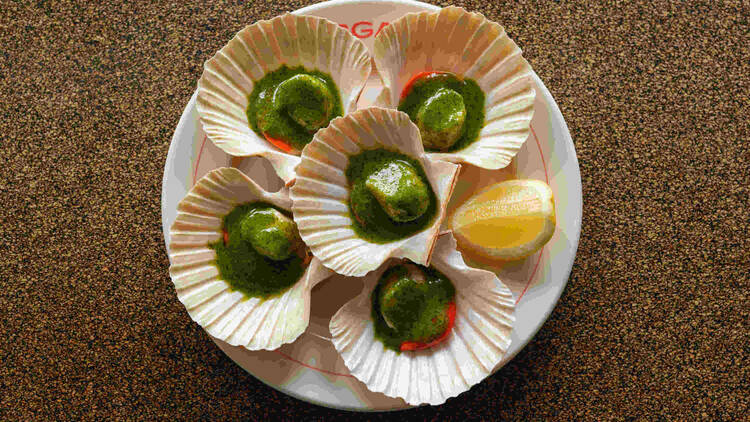 Sargasso