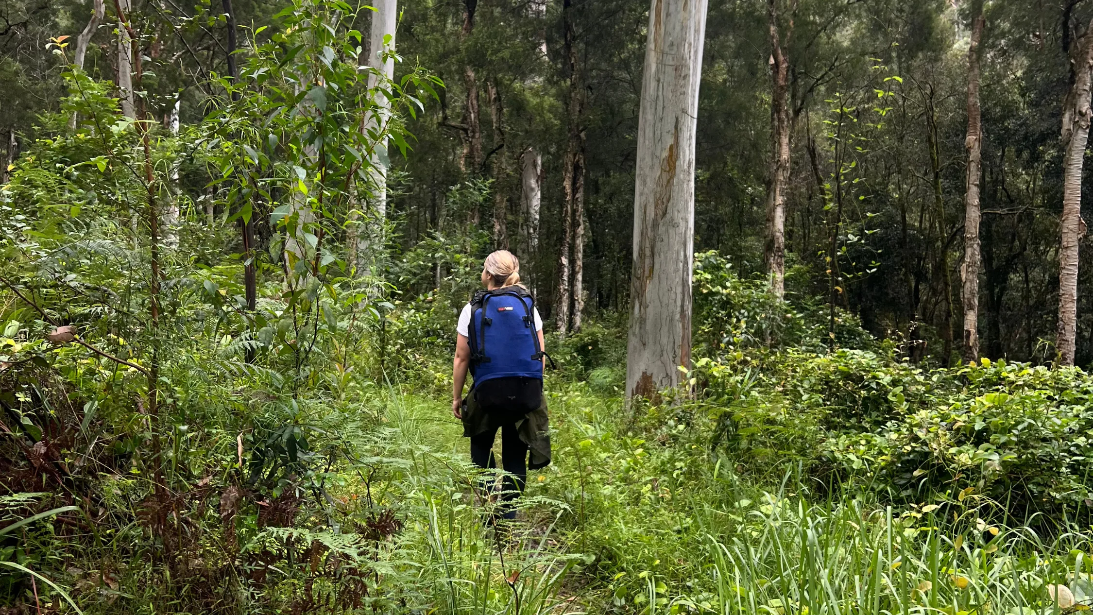 Avril hiking in the Blue Mountains