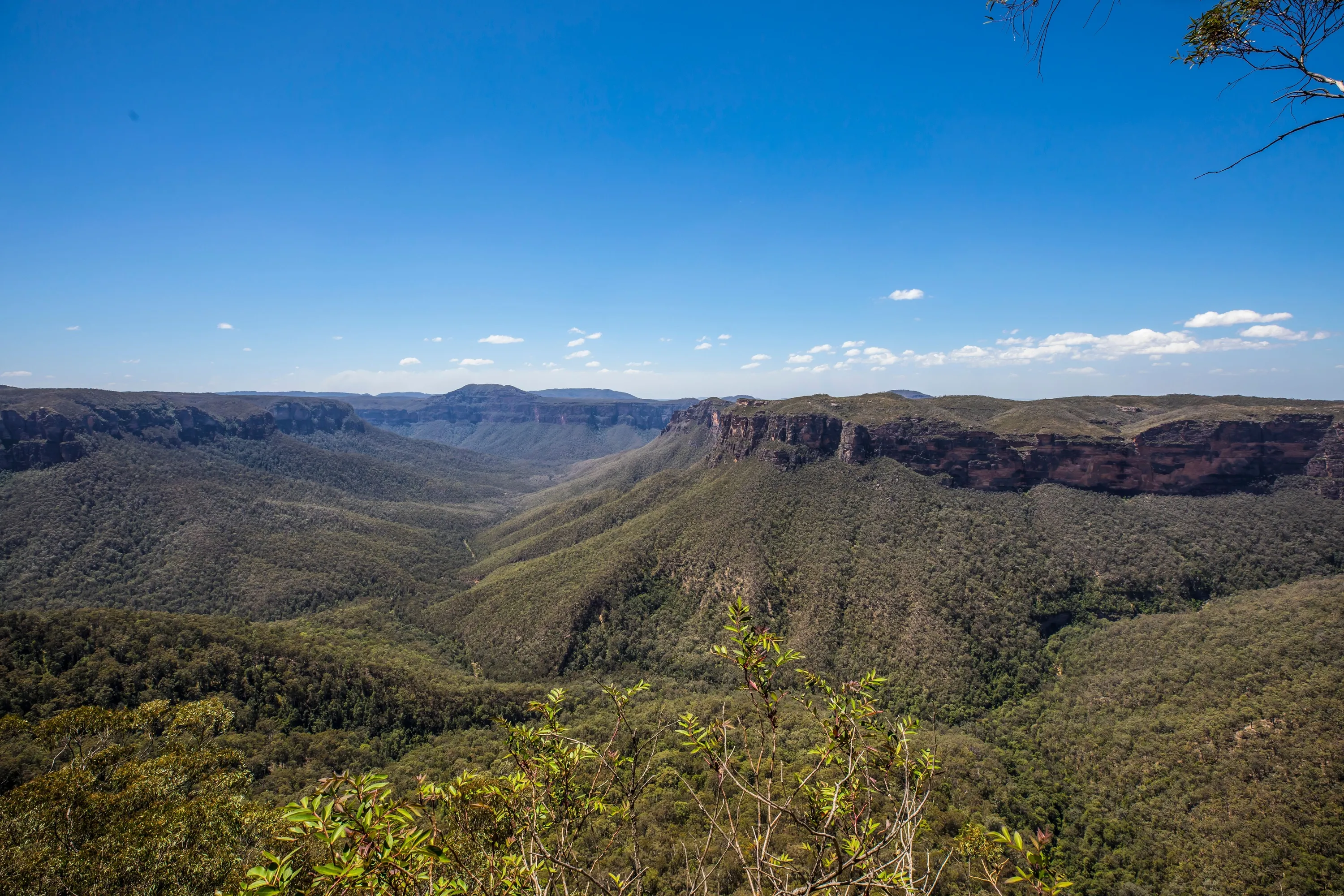 Scenic views of Grose Valley in the Blue Mountains National Park from Evans Lookout, Blackheath.