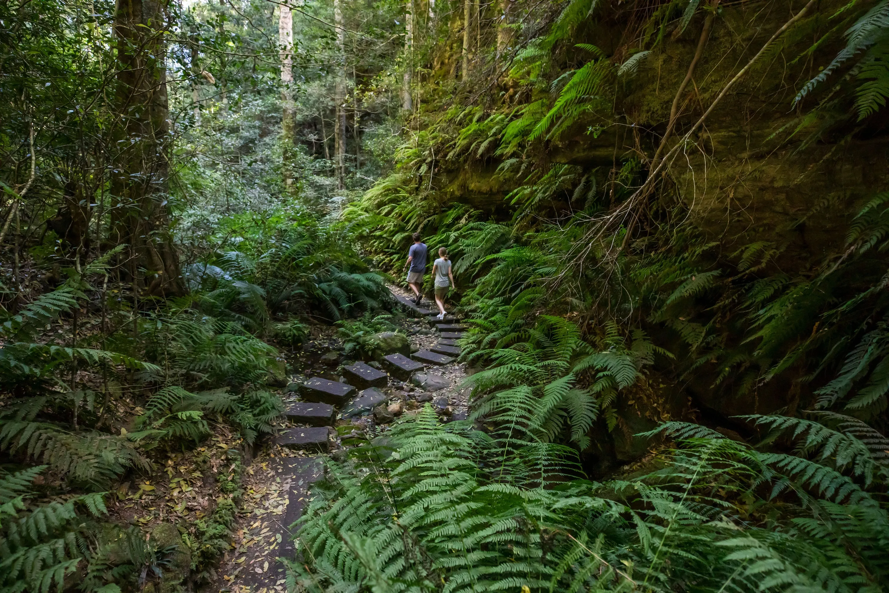 Couple enjoying a scenic walk along the Grand Canyon Walking Track, Blackheath in the Blue Mountains.