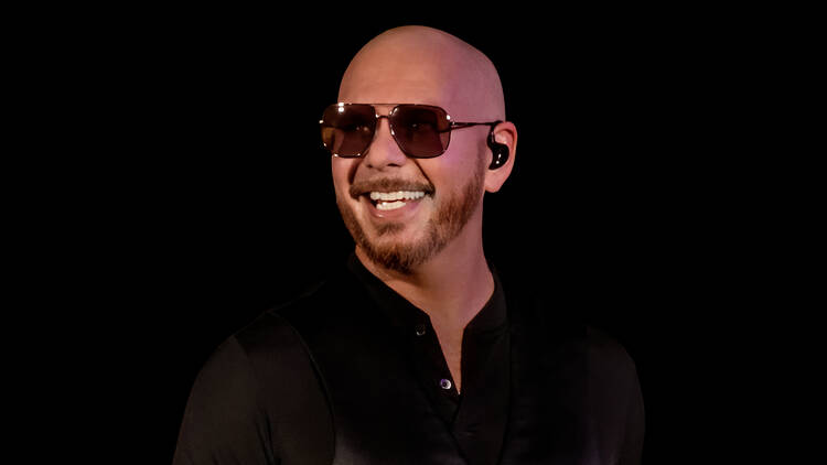 Promotional image for Pitbull at BST Hyde Park