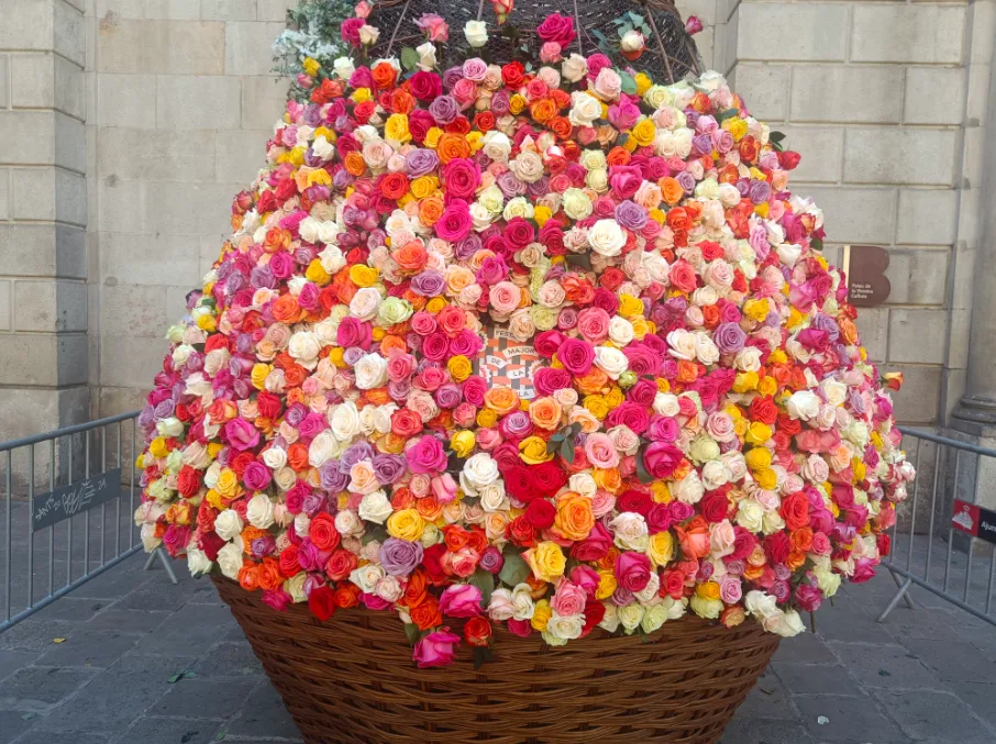 Amics de la Rambla, festa del roser