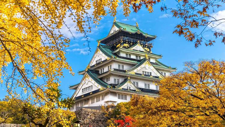 Autumn leaves expected to arrive late in Osaka and Kyoto this year