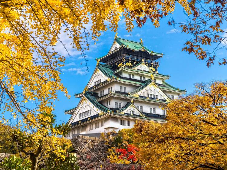 Autumn leaves expected to arrive late in Osaka and Kyoto this year