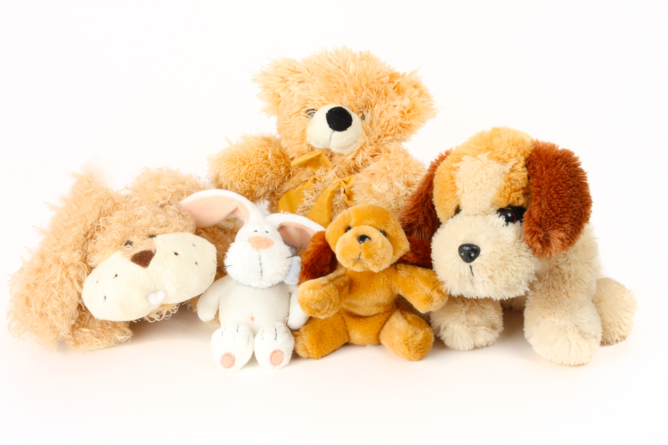 東京国立近代美術館でぬいぐるみのお泊まり会が開催