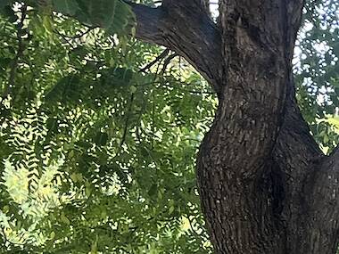 Un grup de jubilats barcelonins fa 30 anys que es troba cada setmana per anar d'excursió