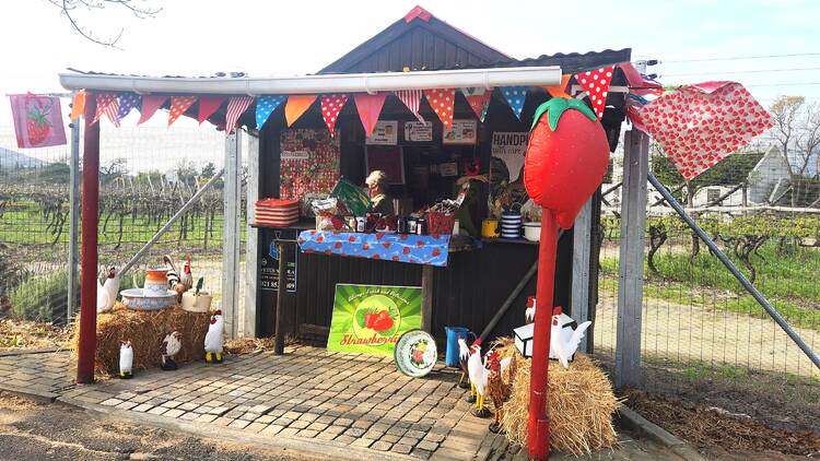 Die Rooirok Farmstall, Paarl