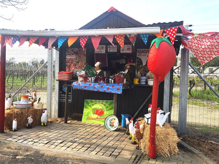 Die Rooirok Farmstall, Paarl