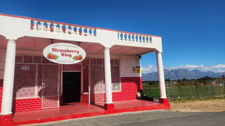 Strawberry King, Paarl