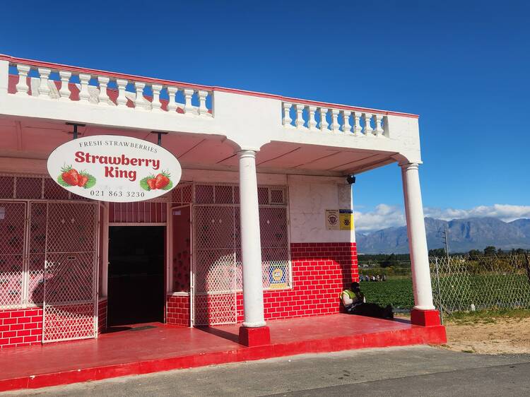 Strawberry King, Paarl