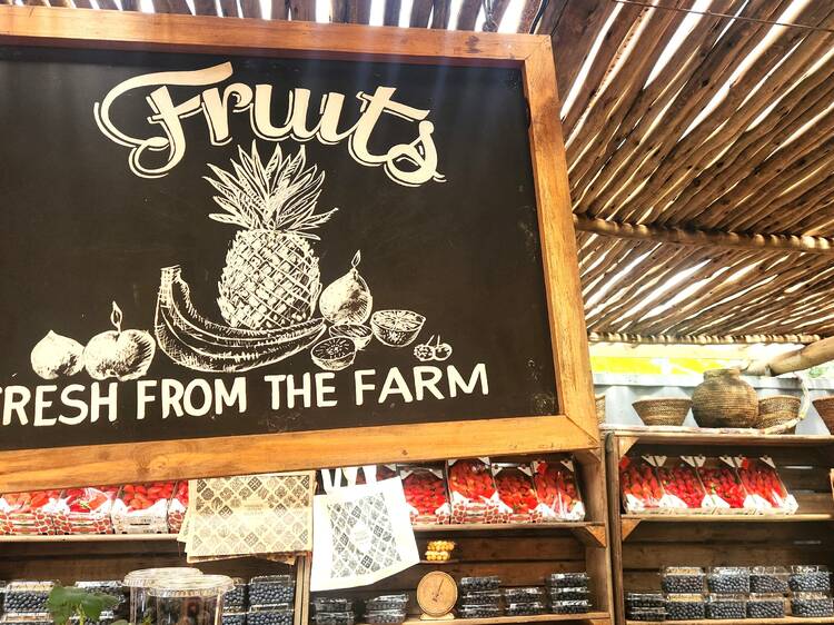 Oranjezicht City Farm Market, Victoria & Alfred Waterfront, Cape Town