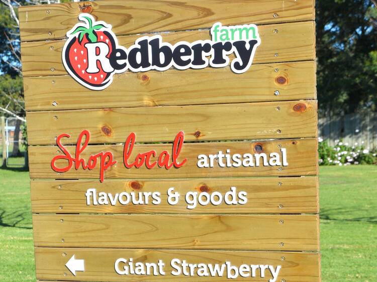 Redberry Farm, George, Garden Route