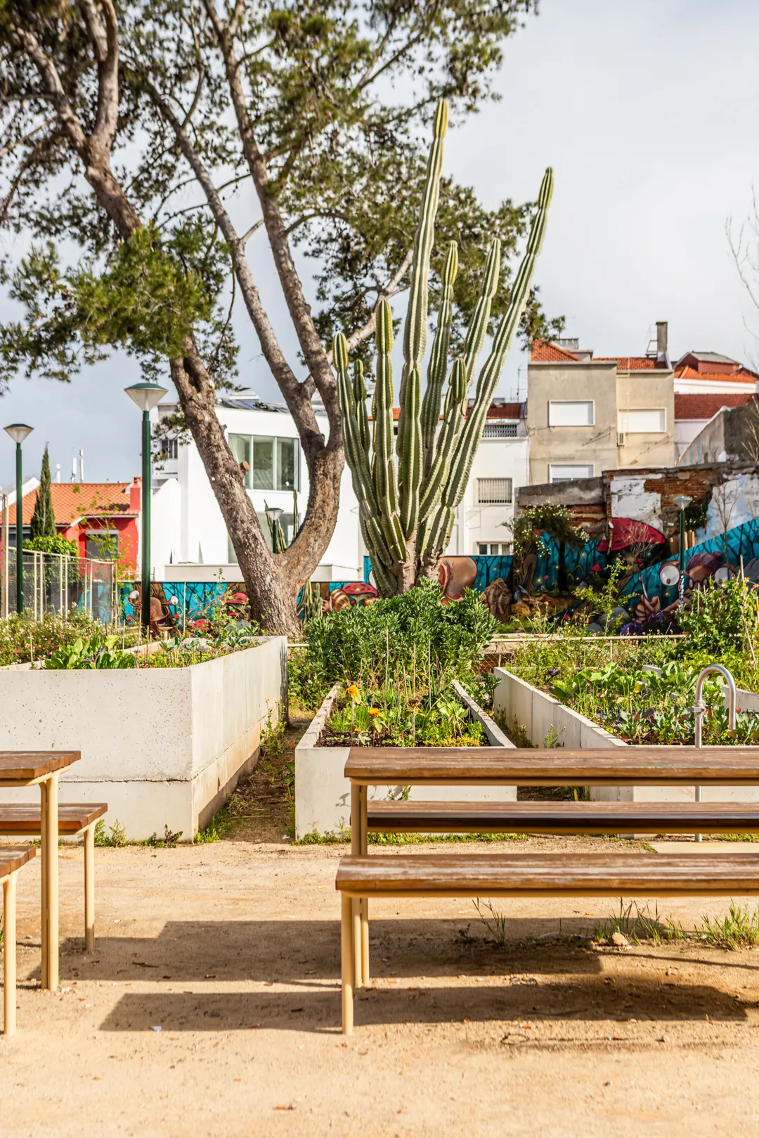 Jardim do Caracol da Penha, 2023