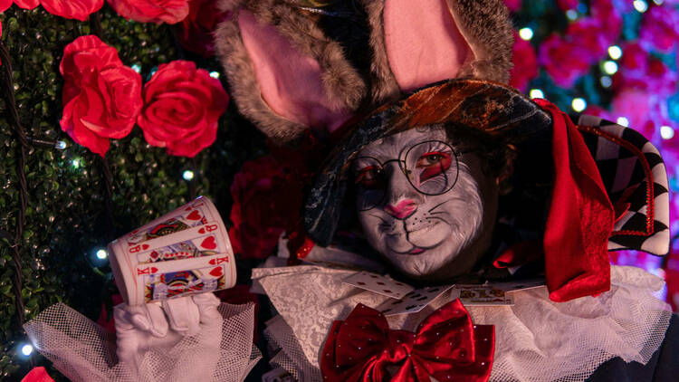 carrera alicia en el pais de las maravillas cdmx