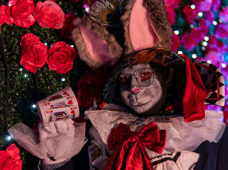 Carrera Alicia en el País de las Maravillas