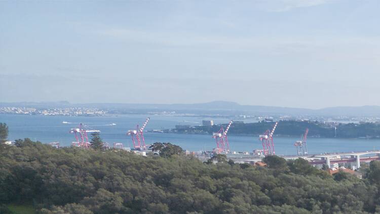 Geradora Esporão Tapada da Ajuda Geradora Esporão Tapada da Ajuda