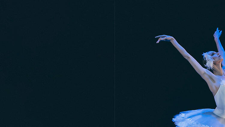 2. Gran Gala en noviembre