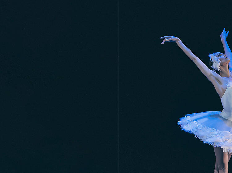 2. Gran Gala en noviembre