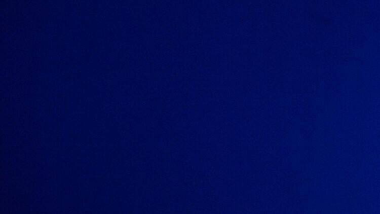 4. Homenaje contemporáneo al gran Nijinski