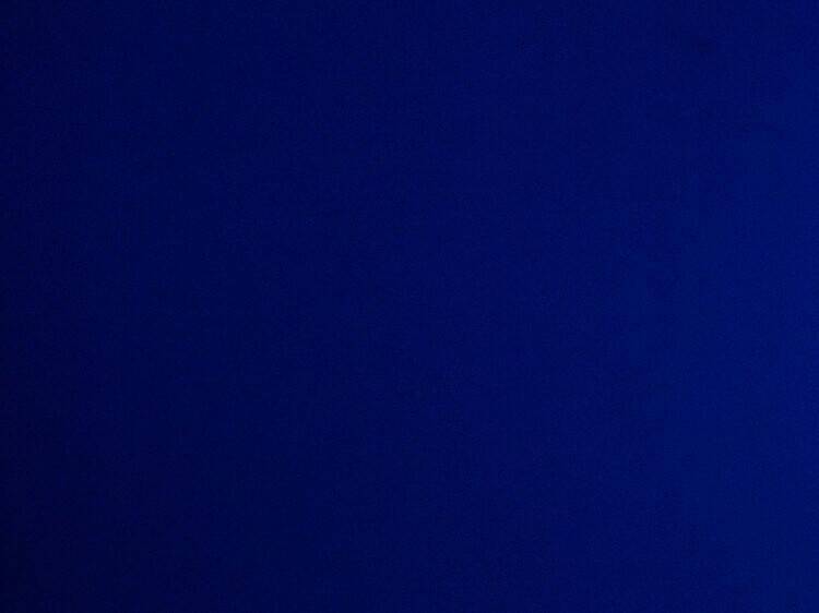 4. Homenaje contemporáneo al gran Nijinski