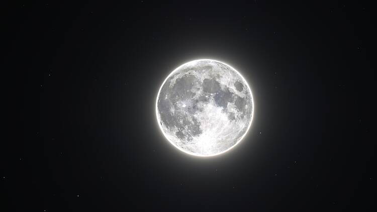 Harvest Moon 