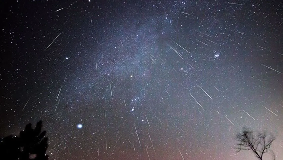 Orionid