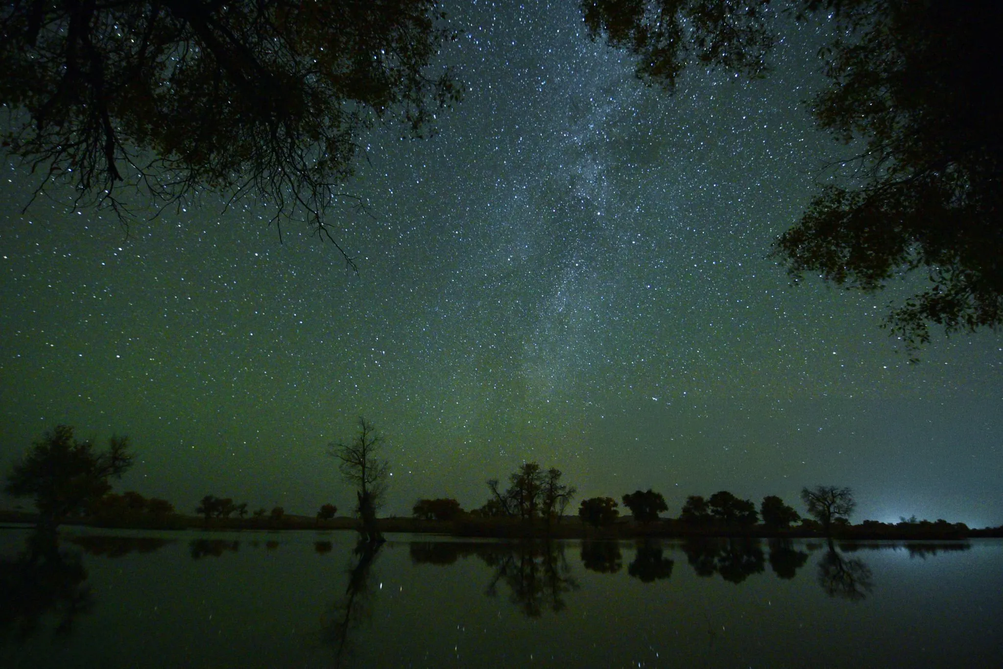 Orionid