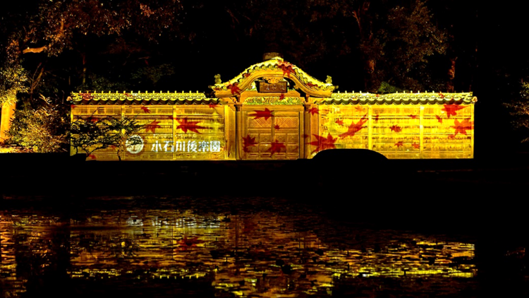 Long Autumn Evenings -  Illumination at Koishikawa Korakuen Gardens