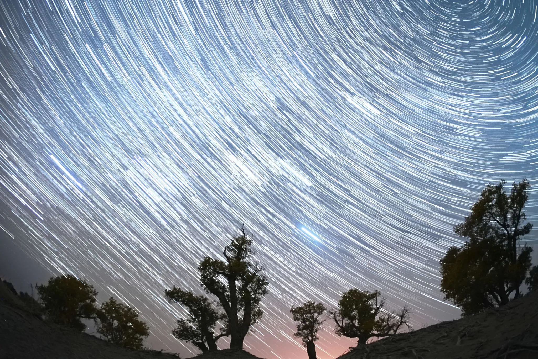 Orionid