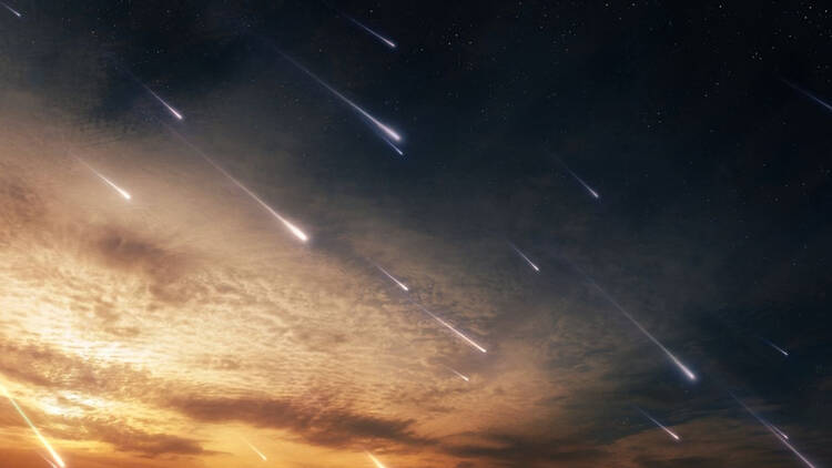 Orionid 