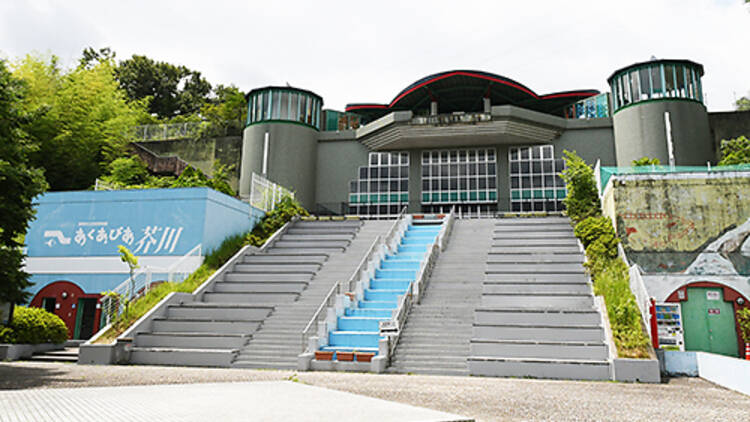 高槻市立自然博物館 あくあぴあ芥川