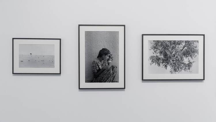 Prix Pictet Human